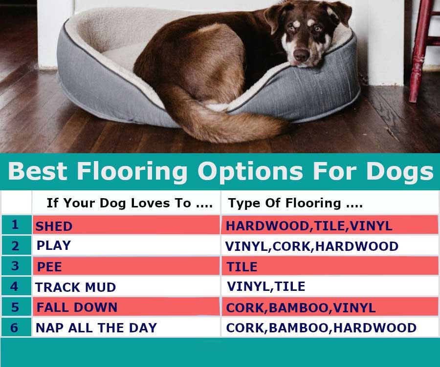 flooring-guide-for-dogs