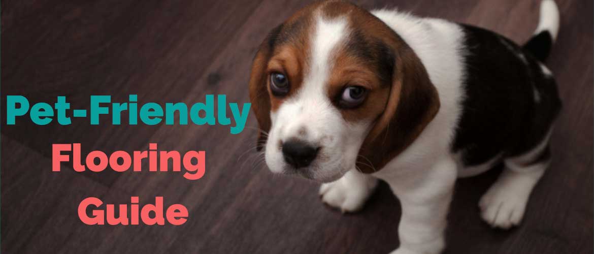 Pet Friendly Floorng Guide