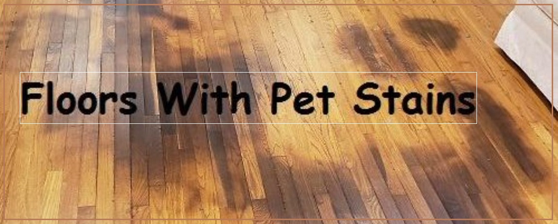 Dog On Hardwood Floors Stained, Getting Urine Stains Out Of Hardwood Floors
